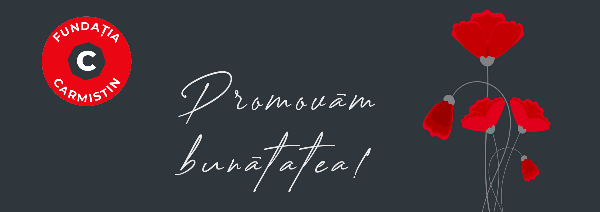 slider carmistin foundation